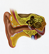 Natural Optics Pinilla, tu centro de audiología en Talavera de la Reina